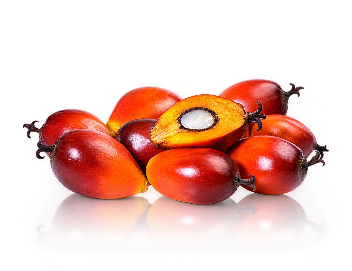Palm Fruits