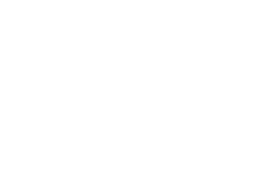 Velovita