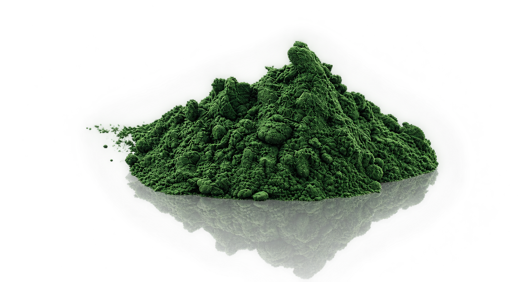 Blue-Green Algae